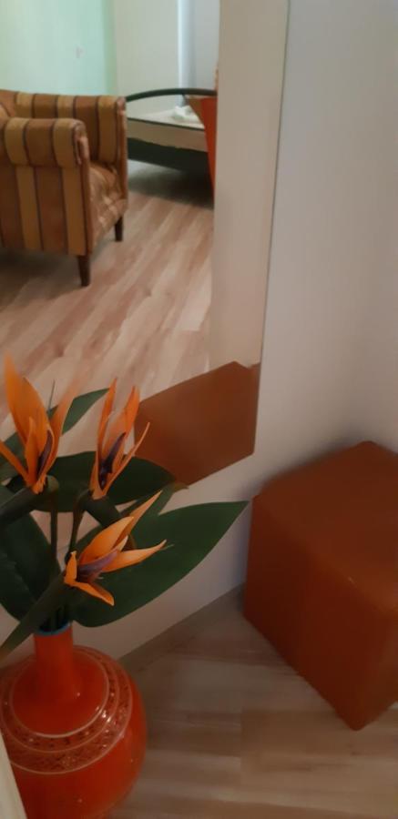 Apartments Olivia Pula Dış mekan fotoğraf